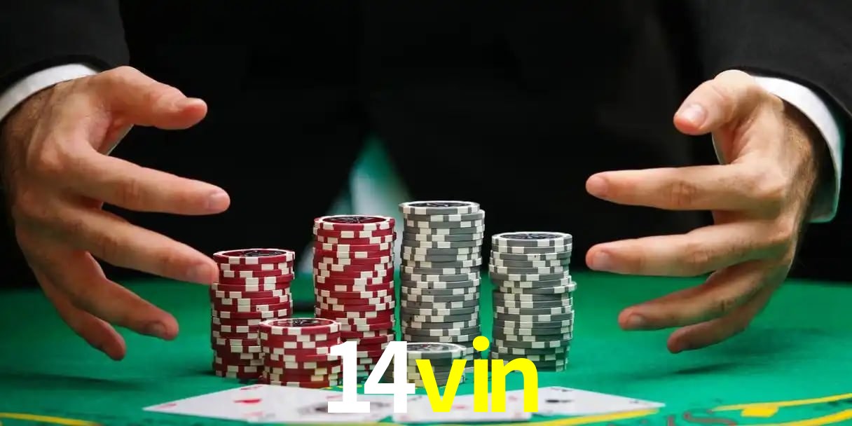 14vin bet